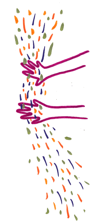 maos-cor_lateral